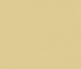 Линолеум Tarkett Acczent Pro Aspect 6 в mir-pola.by